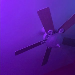 Meet your Posher, Payton